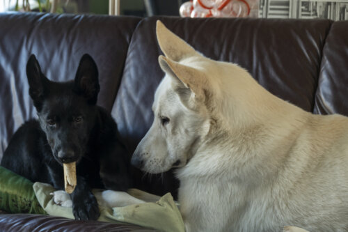 Kay & Morty 03-03-2022