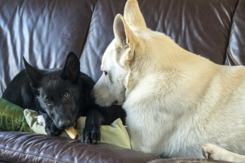 Kay & Morty 03-03-2022