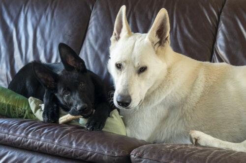 Kay & Morty 03-03-2022