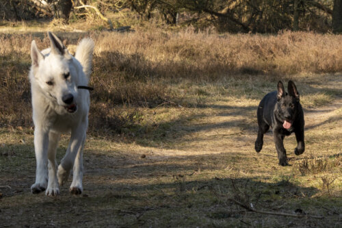 Morty & Kay 10032022