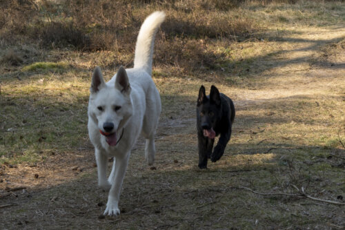 Morty & Kay 10032022