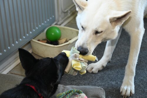 Kay & Morty 27-02-2022