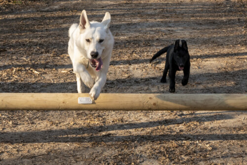 Kay & Morty 02-03-2022