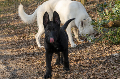 Kay & Morty 02-03-2022